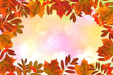Bright beautiful autumn background of colorful autumn leaves of rowan and maple with rowan berries on an abstract background with bokeh