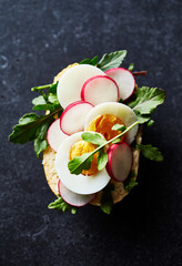 Sandwich with egg, arugula and radish. Top view