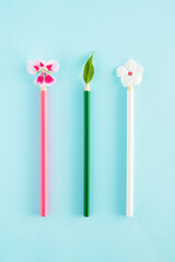 Creative back to school idea with colored pencils, flowers and leaf on blue background. Minimal flat lay concept.