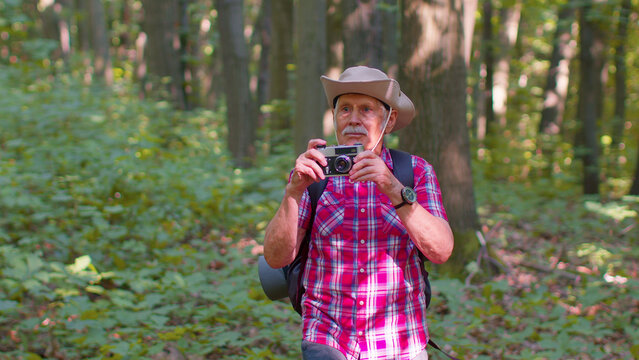 Active senior elderly grandfather adventurer on hiking trip exploring nature wildlife taking photos in forest with retro camera. Retired male backpacker tourist man grandparent during trekking journey