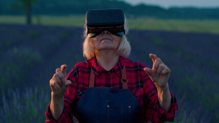 Senior grandmother farmer in virtual reality helmet in field of lavender flowers. Woman wearing VR glasses headset entertaining virtual agronomy scientific hologram managing quality system programming