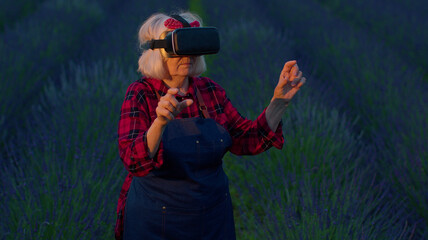 Progressive modern grandmother woman farmer in field lavender flowers uses virtual reality technology. Simulating application user interface. Control irrigation system from drones. Modern agribusiness