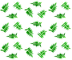 Patterned pattern of green leaves for textiles and wrapping paper. Vintage background.