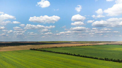 Fototapeta premium Aerial landscape. Aerial view of the fields of Moldova.