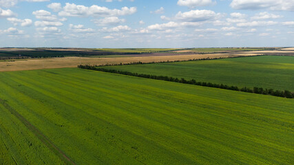 Aerial landscape. Aerial view of the fields of Moldova.