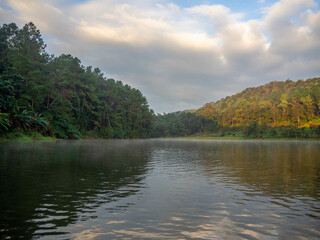 The beautiful sunshine with the foggy and the big pine in the reservoir .of the higher mountain, Pang Oung, Mae hong son, Thailand.
