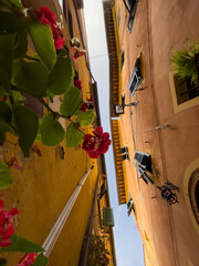 Intalienische enge Gasse mit roten Blumen, Aufnahme von unten, Fenster mit Rolladen aus Holz.