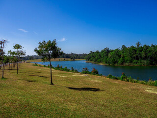 The grass near the nice lake at Khao Yai National Park, Nakhon Ratchasima, Thailand.