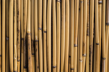 Reed mats as a background close-up