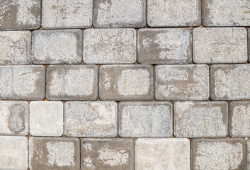 Obraz premium Gray wet paving slabs in the park as background