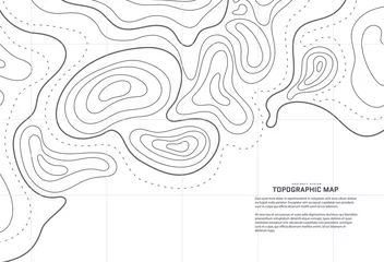 Fotobehang Topographic map abstract background. Outline cartography landscape. Topographic relief map on white backdrop. Modern cover design with wavy lines. Vector illustration with weather map outline pattern. © A_Y_N