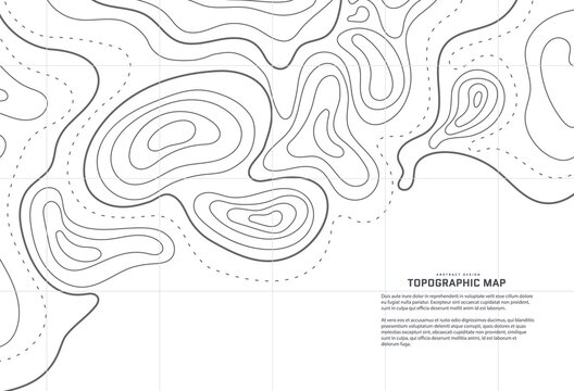 Topographic map abstract background. Outline cartography landscape. Topographic relief map on white backdrop. Modern cover design with wavy lines. Vector illustration with weather map outline pattern.