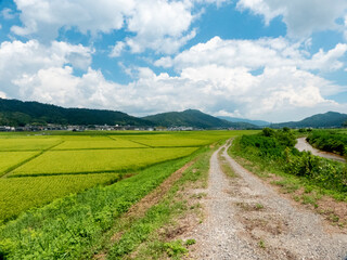 Fototapeta na wymiar 京都丹後　夏の田園風景