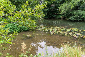 La riviere Yerres a Yerres