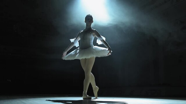 Ballerina dancing. Modern contemporary ballet dance