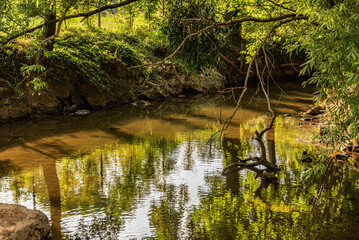 Fototapeta premium La riviere Yerres a Yerres