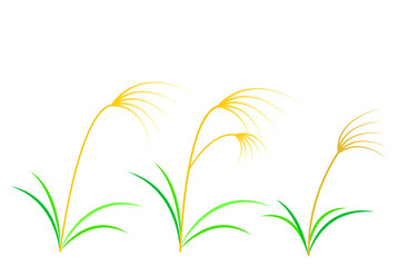 風に揺れるススキのイラスト。秋のコンセプト。