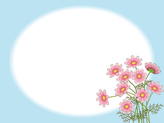 Obraz na płótnie Canvas 秋桜のフレーム素材（葉書用・横向き）