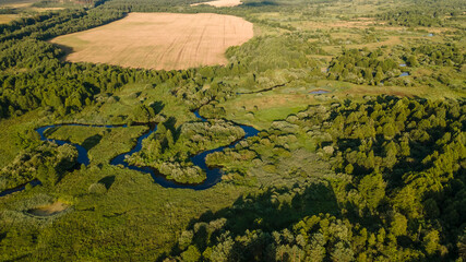 Village among green forest, peace and quiet. The harvest was removed. Countryside background.