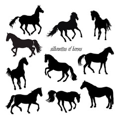 a set of silhouettes of horses, black images isolated on a white background. 