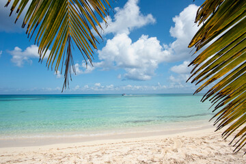 Panoramic view of a deserted tropical beach with palm leaves against the blue sky on the island of Cozumel in Mexico