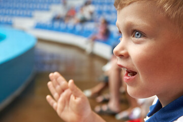 Happy blue-eyed boy is watching the performance and clapping in dolphinarium in half empty...