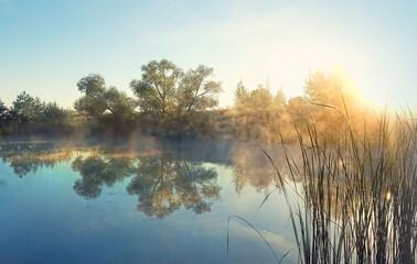 abstract, august, autumn, backdrop, background, beautiful, bright, concept, countryside, design, fall, fog, foliage, forest, golden, inspiration, lake, landscape, life, light, mist, morning, nature, o