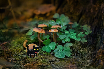 Black cat toy, mushrooms and clover leaves on mysterious dark forest background. black cat - symbol of witchcraft, Samhain and  Halloween holiday. Autumn season