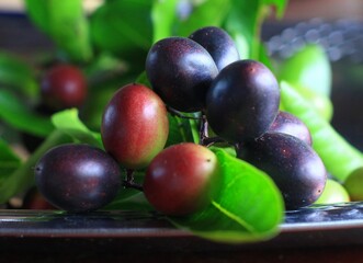 Carandas plum fruits, Carissa ( carandas Linn, Carunda, Karonda, Bengal currants, Mango yawning lime boo on floor background. Fruit with medicinal properties