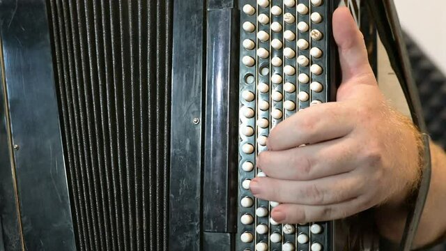 The hands of a man play the accordion close-up. 4k video format.