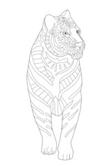 beautiful wild tiger standing and looking away. totem animal for