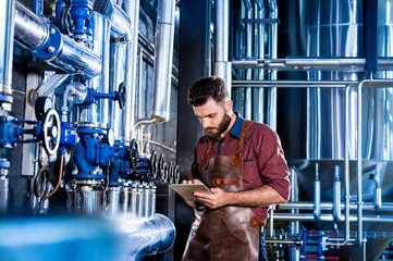 Young male brewer in leather apron supervising the process of beer fermentation at modern brewery factory