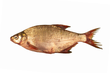 bream fish isolated on white