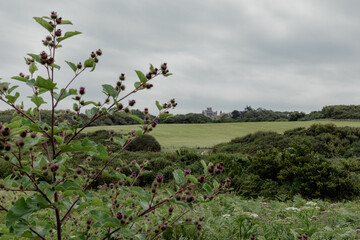 Abbadia castle in Hendaye, Pyrénées-Atlantiques, Basque Country, France