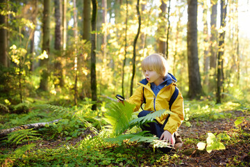 Preschooler boy is exploring nature with magnifying glass. Little child is looking on leaf of fern with magnifier. Summer vacation for inquisitive kids in forest. Hiking. © Maria Sbytova
