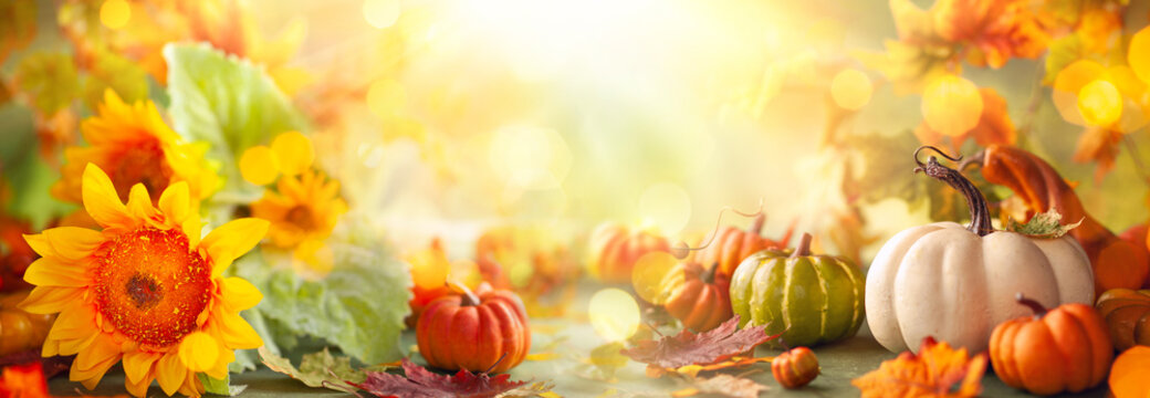 Festive autumn decor from pumpkins, flowers and fall leaves. Concept of Thanksgiving day or Halloween