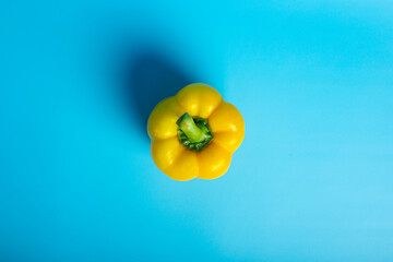 One yellow sweet pepper on a blue background. Top view, flat lay