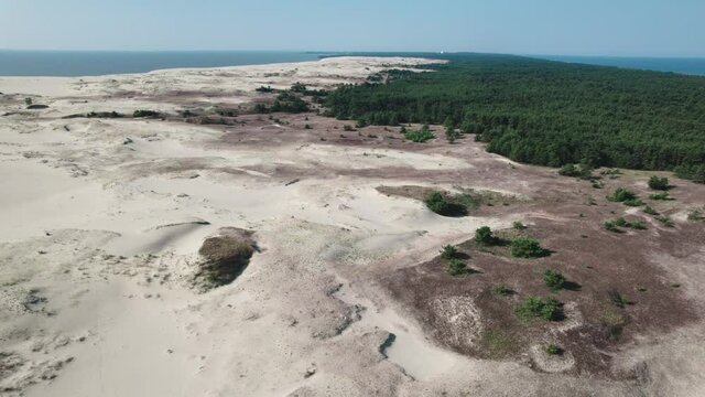 Curonian Spit, Efa dune. A sand dune is bordered by a forest.