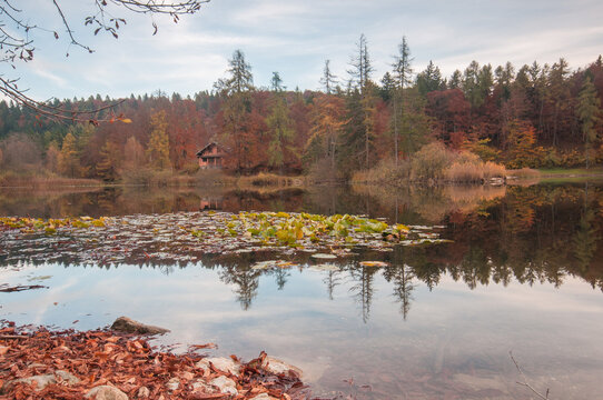 Autunno sul lago di CeiUno dei laghi del Trentino pi&ugrave; fotografati in autunno, il lago di Cei &egrave; il vero regno degli amanti del foliage. Da settembre in poi i colori sono spettacolari. I faggi secolari.