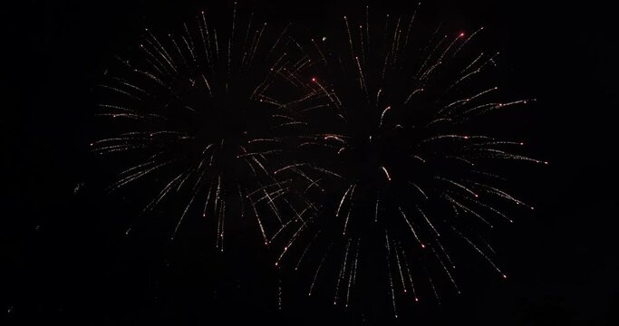 4K fireworks in the night sky