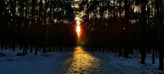 Zachód słońca w zime,widok z lasu 