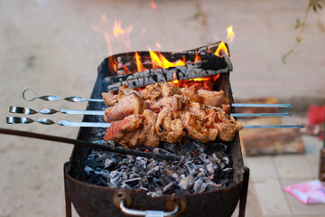 grilled meat on the grill