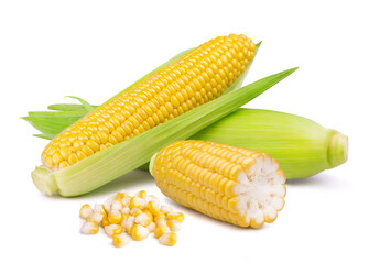 Ripe sweet corn and corn kernels isolated on white background. Fresh vegetables ingredients.