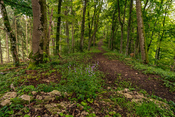 Wonderful hike through the Laucherttal on the southern edge of the Swabian Alb