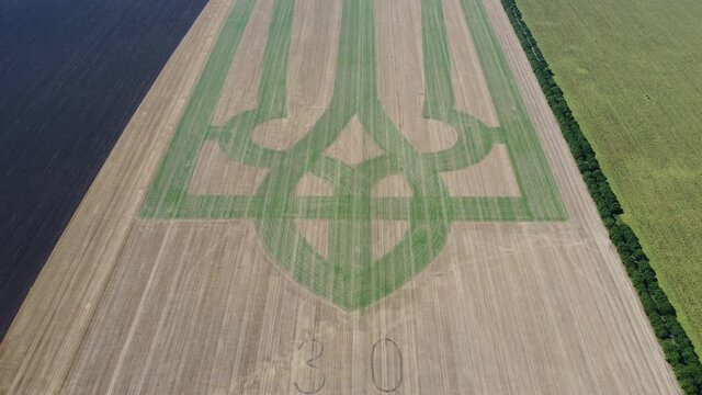 Coat of arms of Ukraine on a wheat field. Trident.