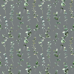 Watercolor seamless pattern of eucalyptus branches and leaves. Hand painted plants isolated on light gray background. Floral illustration for design, print, fabric or background.