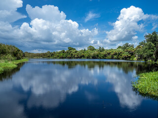 Big white clouda reflecting in the lake in Deer Prarie Creek Preserve in Venice Florida USA