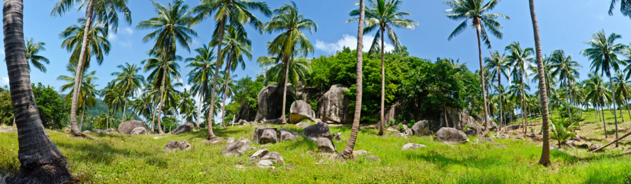 Thailand Pannorama