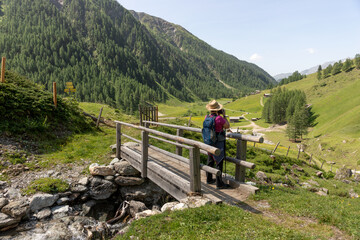 Fototapeta na wymiar Wooden small bridge in the Alps. Mountain landscape