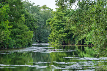 Fototapeta na wymiar Lagoon in Audubon Park in New Orleans